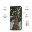'Zesty' Loquat - Speckled iPhone case