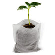 Aeration Fabric Seedling Grow Bag Container - Filter Style
