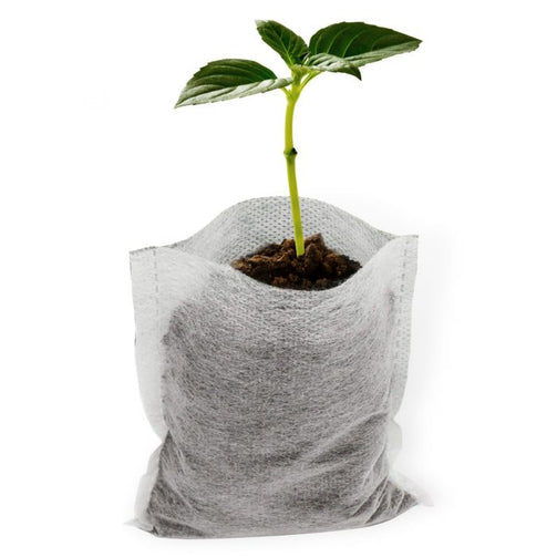 Aeration Fabric Seedling Grow Bag Container - Filter Style – AKME Gardens